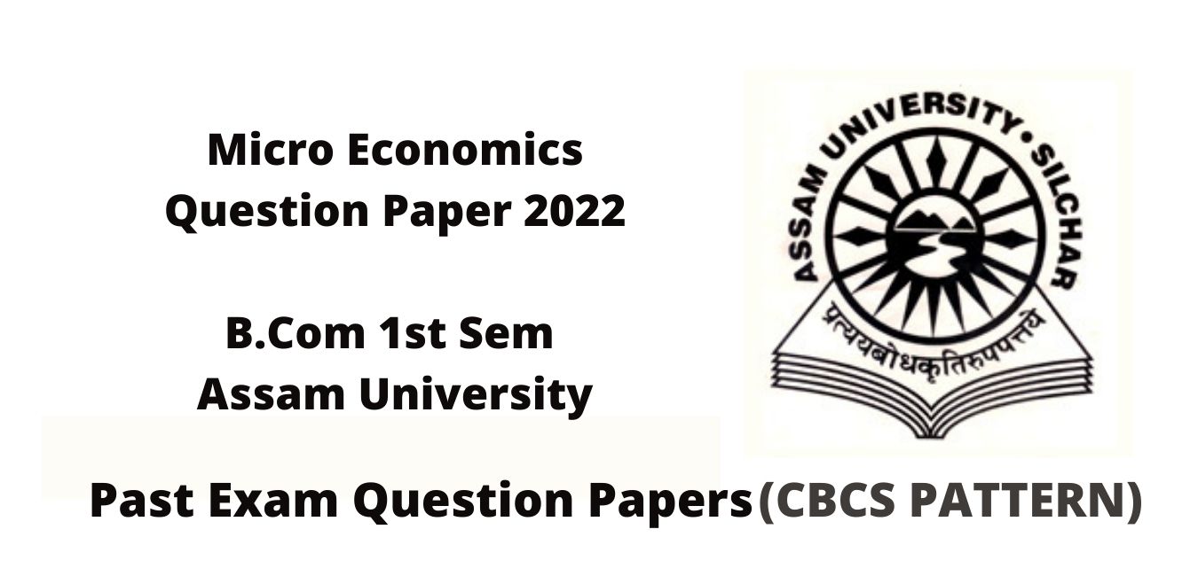 micro economics question paper 2022